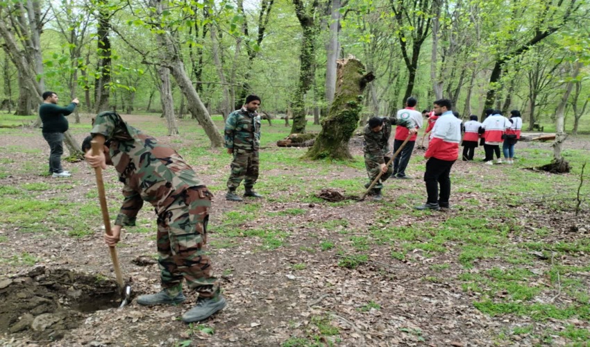 کاشت بیش از ۵۰۰  اصله نهال در روز طبیعت  در رامیان