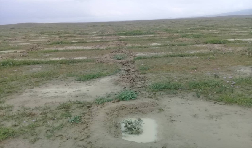 آبگیری مناسب تشتک های پای بوته پس از بارندگی‌های اخیر در طرح مرتعداری گینگ جای مراوه تپه