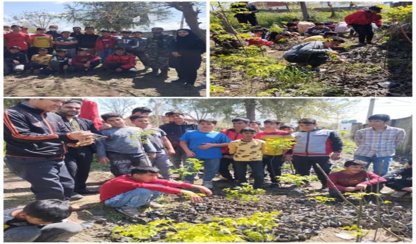 طرح هر مدرسه یک نهالستان در شهرستان گالیکش اجرا می شود 