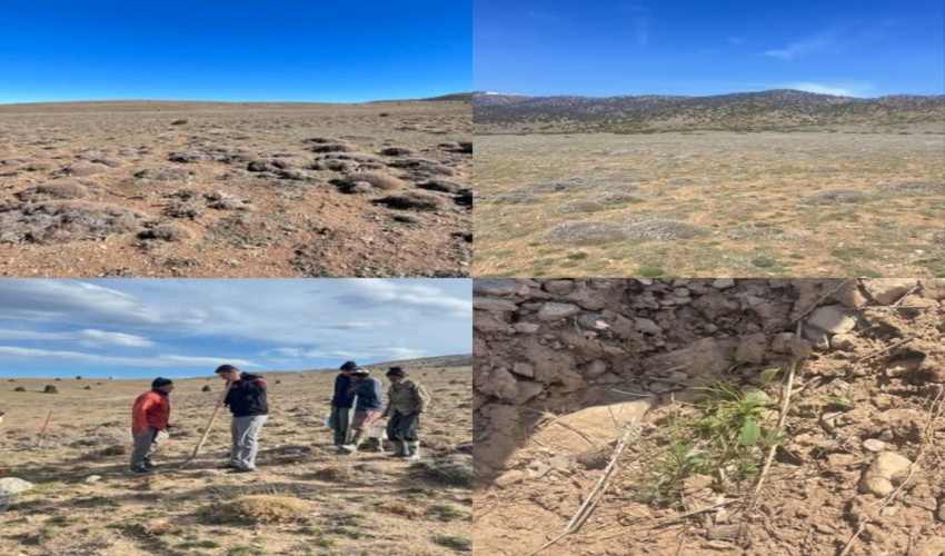 بازدید کارشناسان ستادی و شهرستان از کپه کاری ۳۰۰ هکتاری مراتع ییلاقی سر علی آبادگرگان