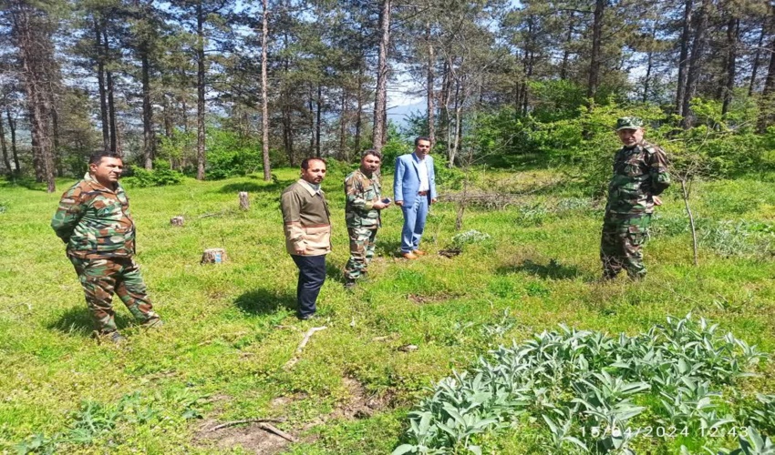 بازدید رییس حراست اداره کل منابع طبیعی از عرصه چهار هکتاری نهالکاری پارک زیتون آزادشهر