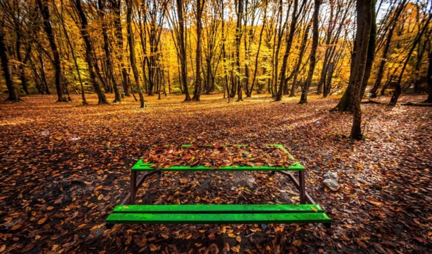 واگذاری پارک‌های جنگلی به بخش خصوصی؛ گام بلند گلستان برای مردمی‌سازی اقتصاد