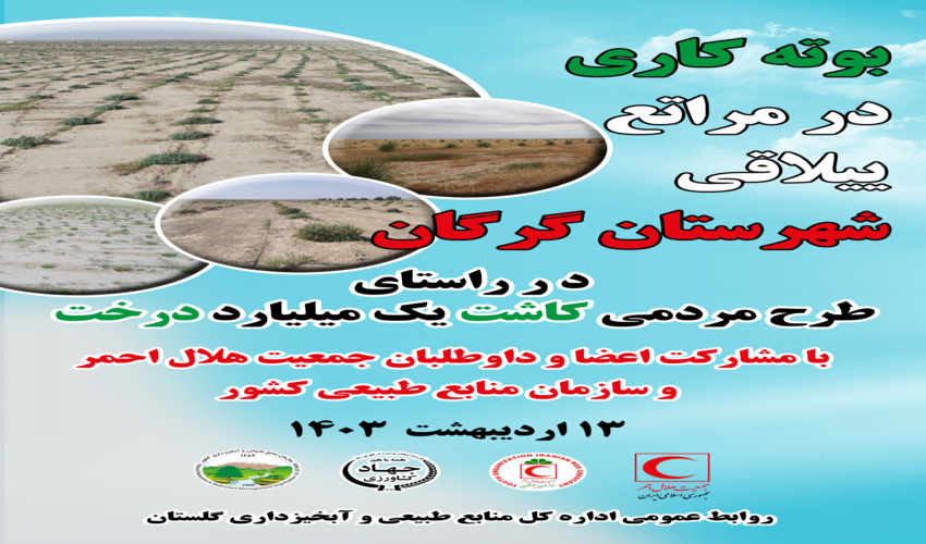 پویش بوته کاری در مراتع ییلاقی گرگان با همکاری هلال احمر برگزار می شود