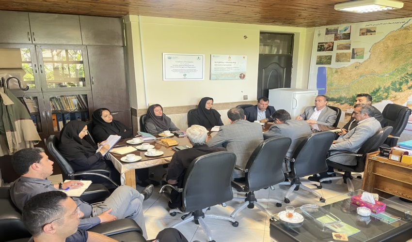 مدیرکل امور مراتع سازمان بر لزوم بازنگری در شیوه های بهره برداری از مراتع تاکید کرد