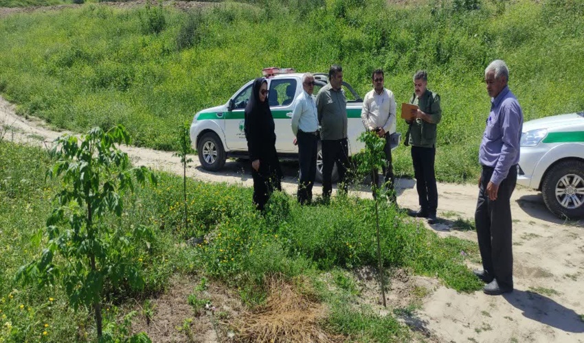 بازدید رئیس شبکه تشکل های منابع طبیعی و محیط زیستی گلستان از پروژه های منابع طبیعی 