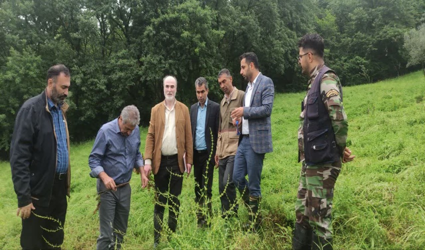 مدیرکل دفتر جنگلکاری، پارک ها و ذخیره گاه های جنگلی از عرصه های نهالکاری شده گلستان بازدید کرد