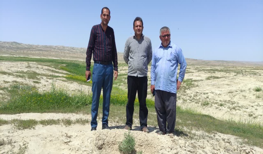 بازدید از پروژه بوته کاری در محدوده طرح مرتعداری تپه جیک مراوه تپه 