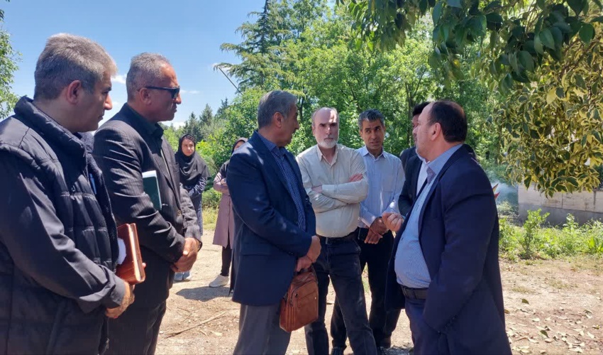 بازدید مدیر کل دفتر جنگلکاری،پارکها و ذخیره گاه های جنگلی کشور ازنهالستان تولید نهال جنگلی قرق