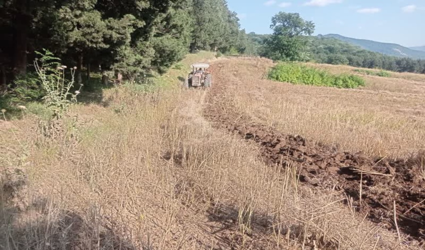 مشارکت کشاورزان در احداث آتش بر جهت جلوگیری از سرایت آتش به جنگل 