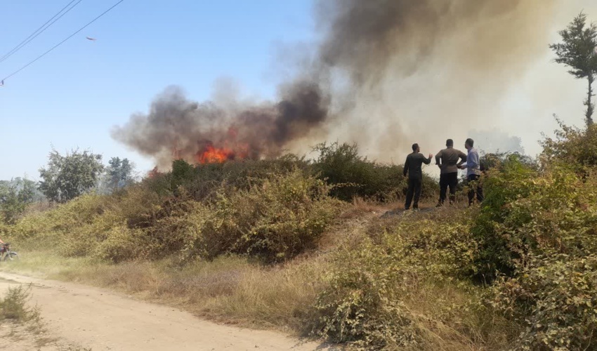 نامه به استانداران برای شناسایی عاملان آتش‌سوزی‌های عمدی جنگل‌ها توسط دستگاه‌های اطلاعاتی و امنیتی