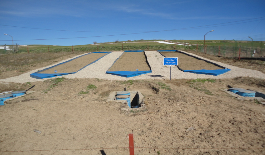 تهیه فلور و بانک بذر مرتع حوزه آبخیز  زوجی کچیک/ مساحت حوزه 3600 هکتار است