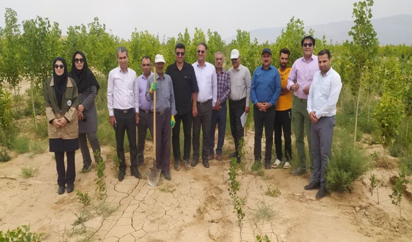 کارشناسان جنگلکاری گلستان از طرح های زراعت چوب و نهالستان های خراسان شمالی بازدید کردند