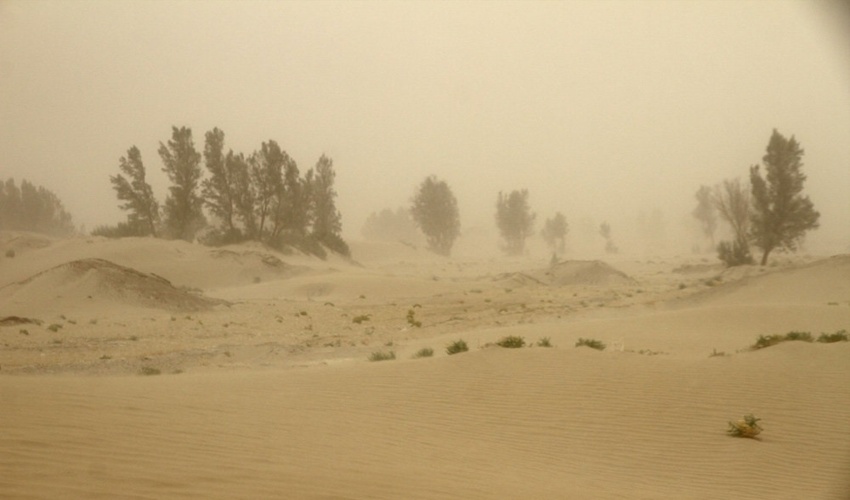  مجمع عمومی سازمان ملل یک دهه را به عنوان دهه مقابله با طوفان های ماسه و گرد‌و‌غبار اعلام کرد