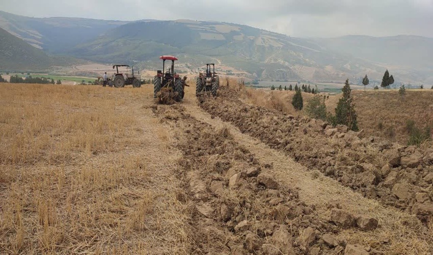 ایجاد آتش بر حد فاصل زمین کشاورزی و جنگل کاری محدوده منطقه روستایی کسر پیشکمر کلاله
