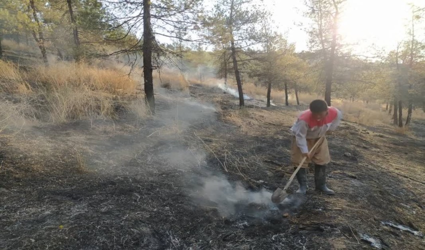یک فقره آتش سوزی در جنگل های سوزنی برگ روستای آق امام 