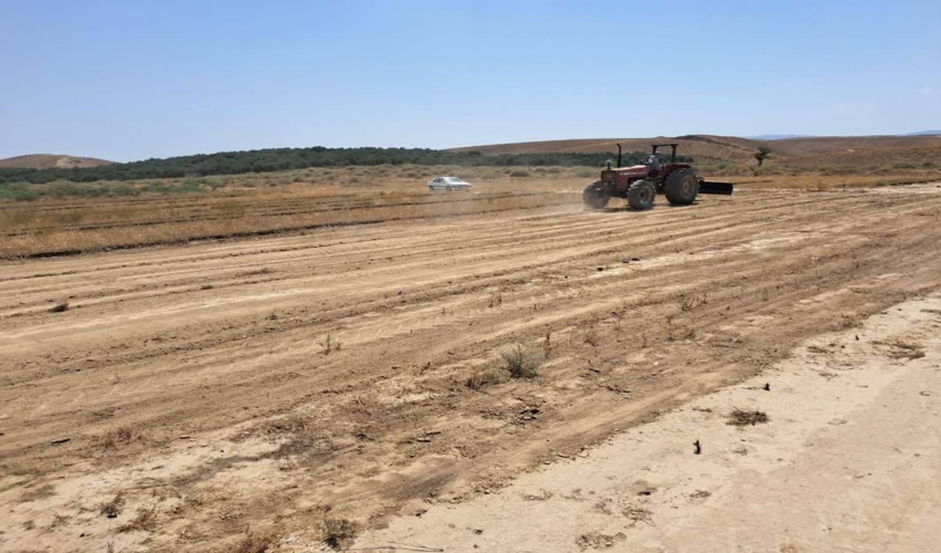 آغاز عملیات تولید نهال گونه‌های مرتعی و بیابانی در نهالستان امام علی علیه السلام شهرستان مراوه تپه 