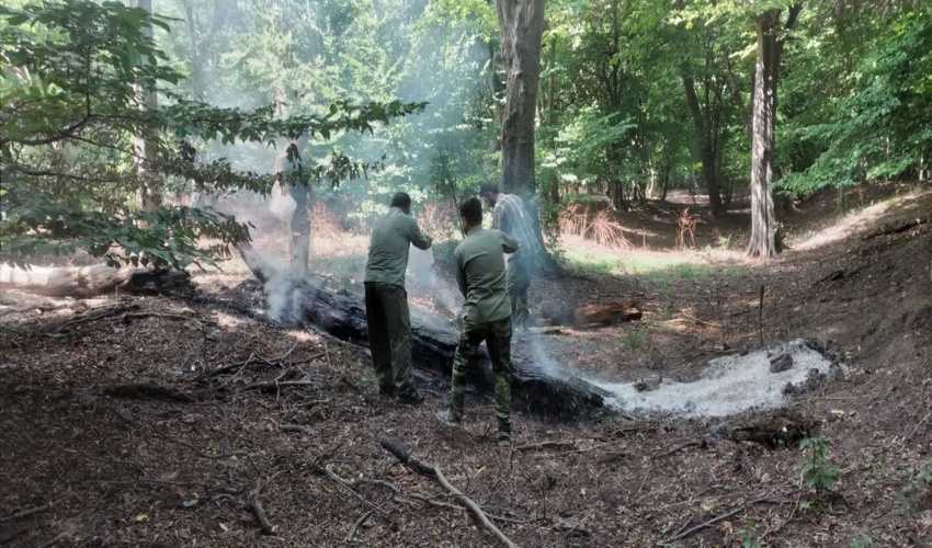  گردشگران از آتش زدن هیزم و درختان افتاده  در پارکهای جنگلی خودداری کنند