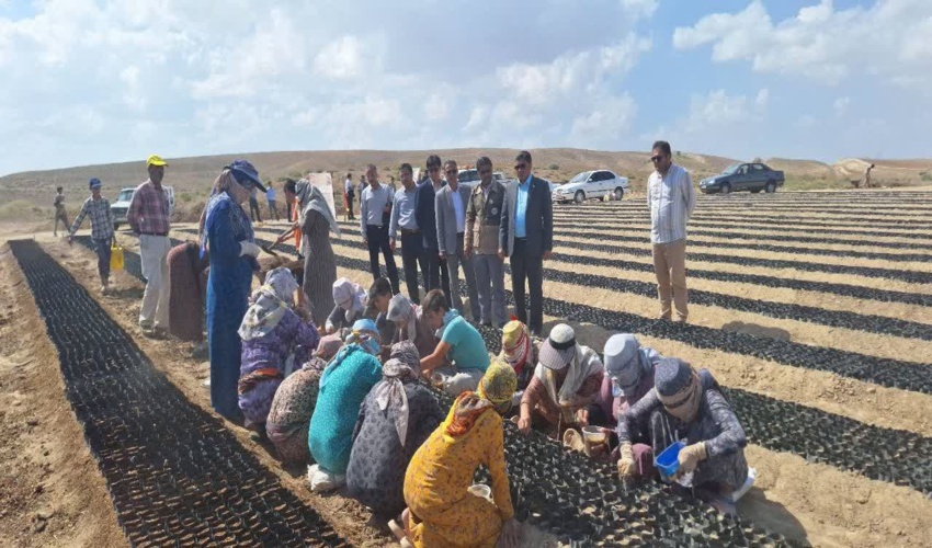 مراسم افتتاحیه آغاز پروژه تولید نهال در نهالستان امام علی(ع) شهرستان مراوه‌تپه 