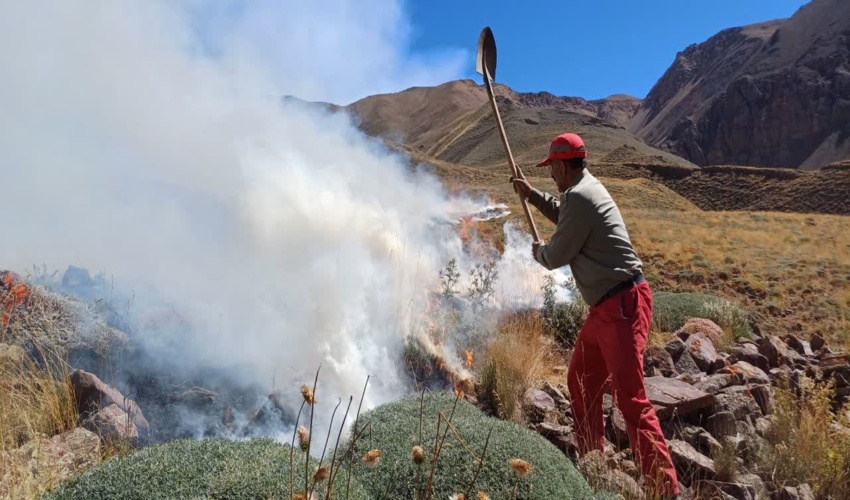 گزارش تصویری از حریق منطقه حاجی لنگ بخش کمالان و تلاش نیروهای حفاظتی جهت اطفا حریق