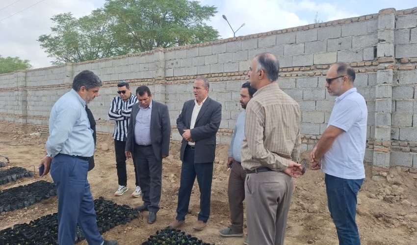 بازدید مدیرکل دفتر امور مراتع سازمان منابع طبیعی و آبخیزداری کشور از روند تولید نهال مرتعی آق قلا