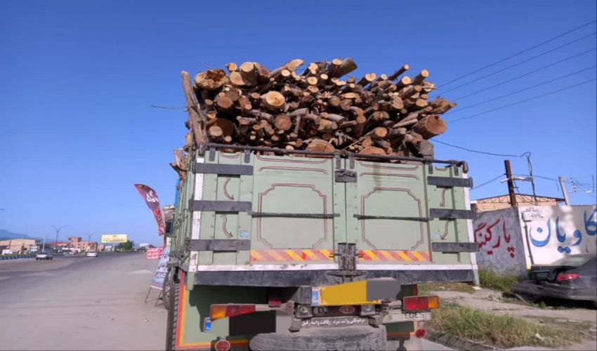 64 نفر طی 5 ماه گذشته در حوزه تخلفات منابع طبیعی در گلستان بازداشت شده اند