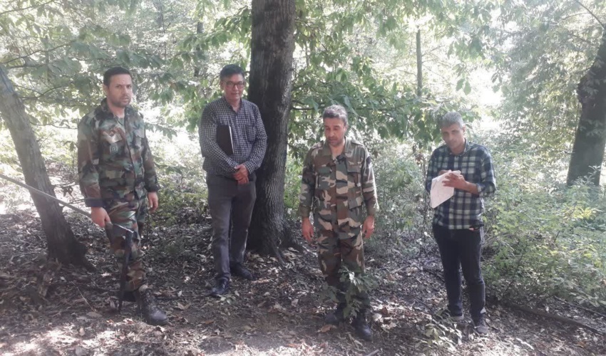 بازدید رئیس اداره حراست و کارشناسان اداره کل منابع طبیعی از پروژهای نشانه گزاری پرورشی بهداشتی جنگل های مینودشت