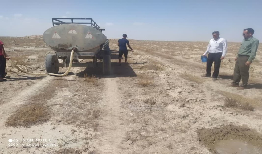 مرحله چهارم آبیاری  پروژه بوته کاری ۵۰ هکتاری قربانقلیچ  گنبدکاووس در حال انجام است