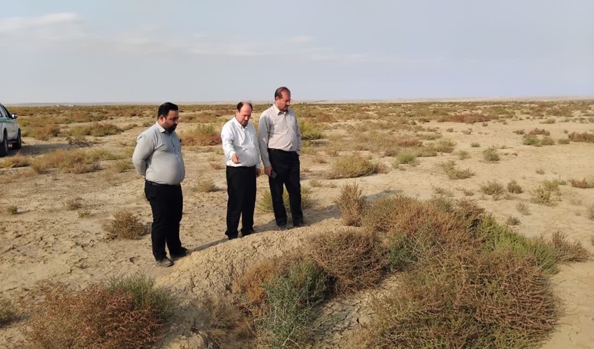 بازدید سرپرست سازمان منابع طبیعی از روند تولید نهال مرتعی و پروژه های بوته کاری در آق قلا 