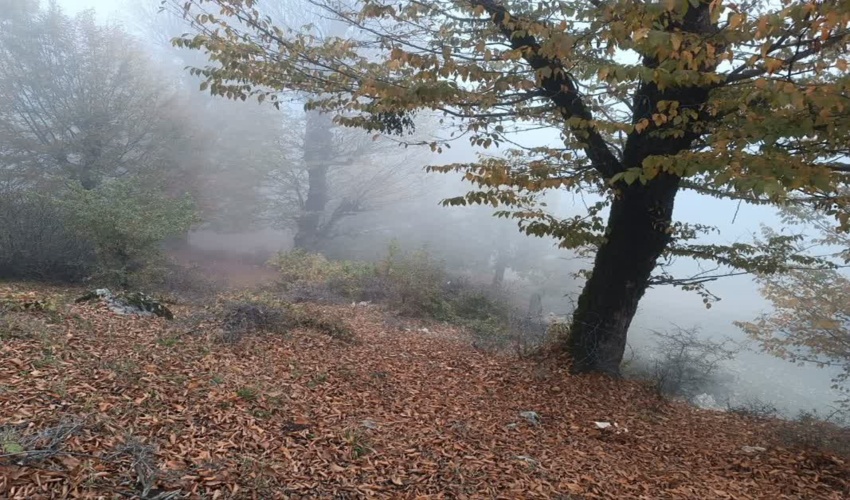 تقویت اقدام های حفاظتی در عرصه های منابع طبیعی گرگان