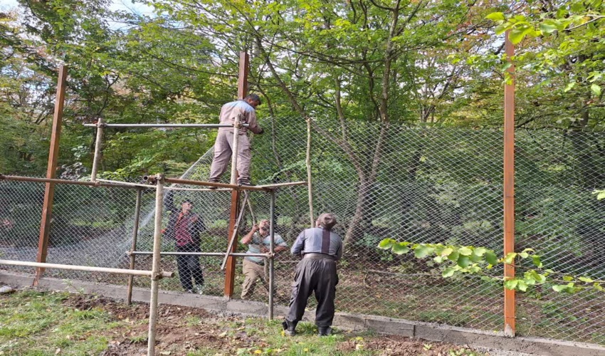 پروژه فنس کشی و حفاظت پیرامون منطقه نگهداری مارال های قرق در حال انجام است