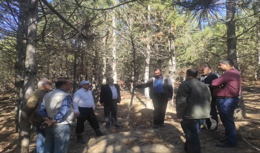 بازدید مدیر کل دفتر جنگلداری و امور بهره برداری سازمان از جنگلکاری های سنواتی گلستان
