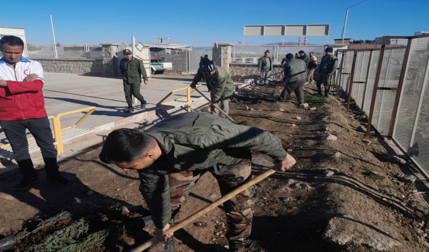 پویش نهالکاری در سایه مادر در شهرستان گالیکش همزمان به صورت کشوری برگزار شد