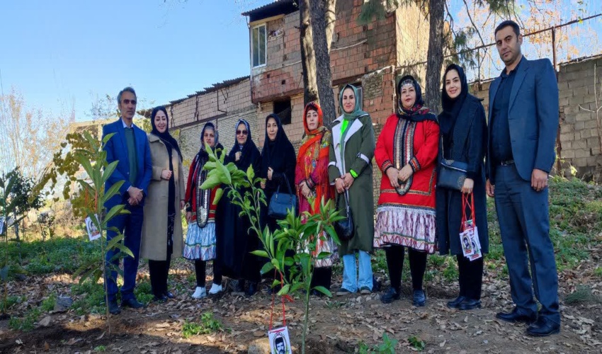 پویش نهالکاری در سایه مادر در علی آباد کتول با حضور پر شور بانوان برگزار شد