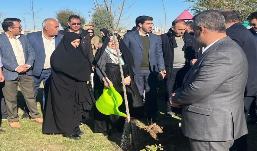 پویش نهالکاری در سایه مادر در گنبدکاووس برگزار شد