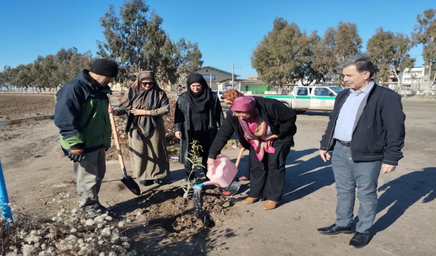 پویش نهالکاری در سایه مادر در پیست اسب دوانی بندرترکمن برگزار شد