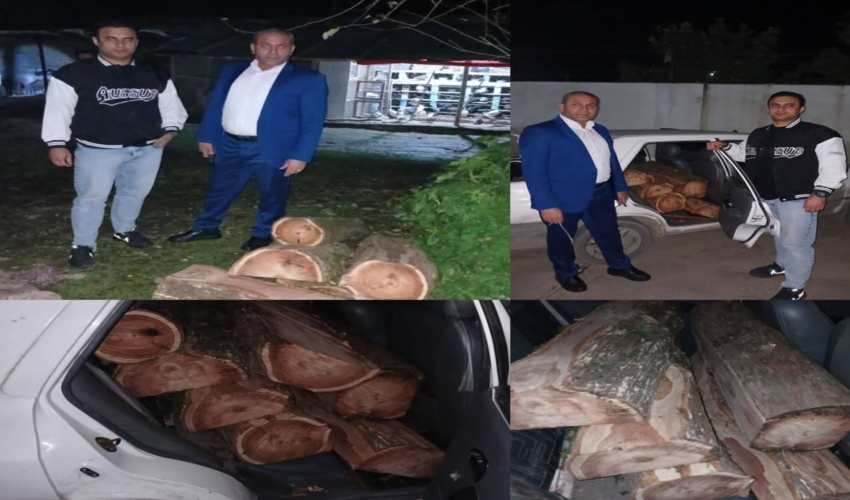 کشف محموله قاچاق چوب سرخدار در گرگان