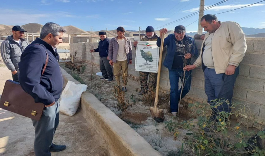 کاشت نهال با یاد سردار دلها