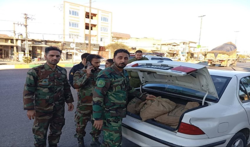 کشف 185 کیلو گرم قارچ ترافل در شهرستان گالیکش توسط نیروهای یگان حفاظت منابع طبیعی 