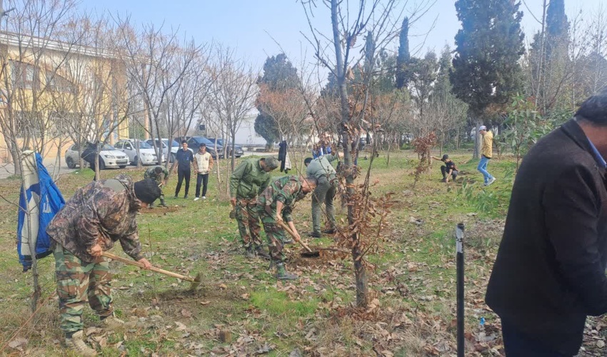 پویش نهالکاری فجر سبز آزادی در هنرستان شهید چمران کردکوی