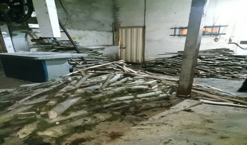 کشف ۴ استر چوب و زغال قاچاق در گرگان