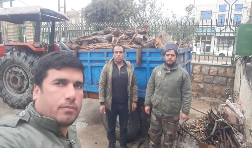 تراکتور حامل چوب قاچاق در گالیکش توقیف شد.