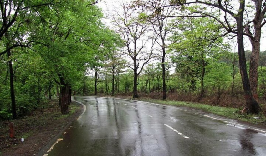 صدور احکام و مجازات های جایگزین حبس در ازای حفاظت از منابع طبیعی