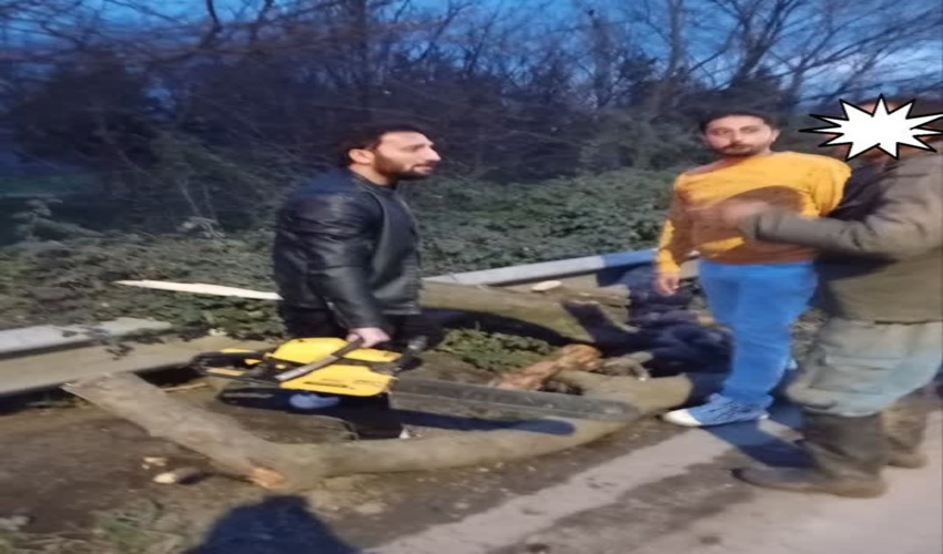 کشف و ضبط یک دستگاه اره موتوری از عاملان قطع درختان جنگلی در پارک جنگلی دلند