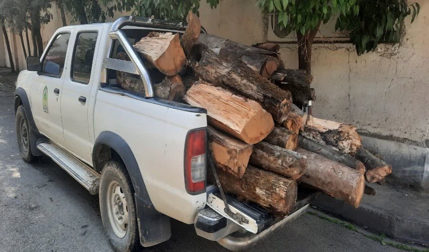 20 استر چوب آلات قاچاق در شهرستان آزادشهر کشف و ضبط شد