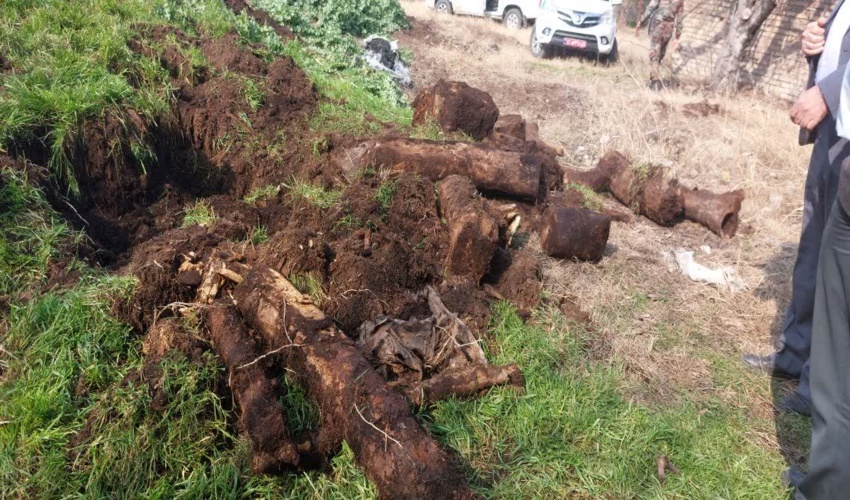 400 کیلوگرم قاچاق چوب و ذغال در رامیان کشف و ضبط شد 