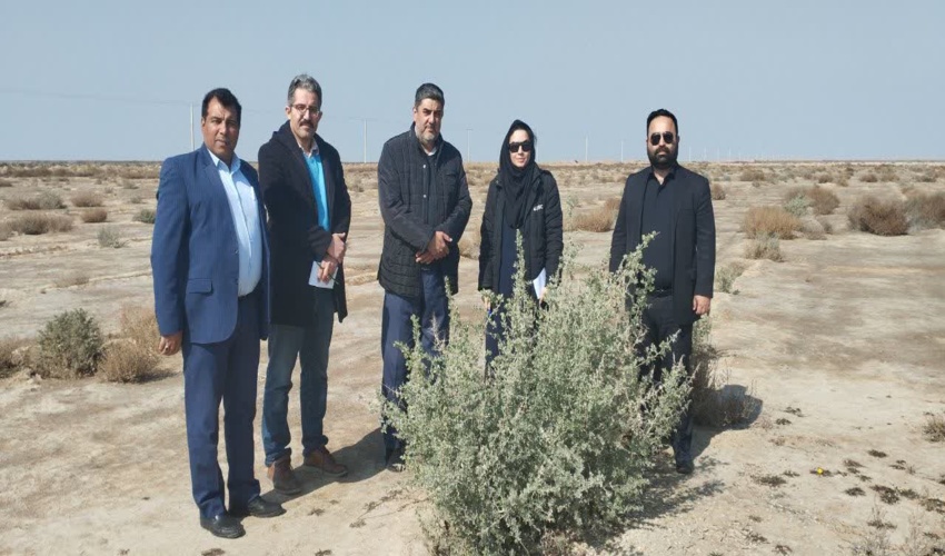 بازدید رییس گروه مطالعات دفتر بیابان سازمان منابع طبیعی کشور از پروژه های مقابله با بیابانزایی در شرق استان 