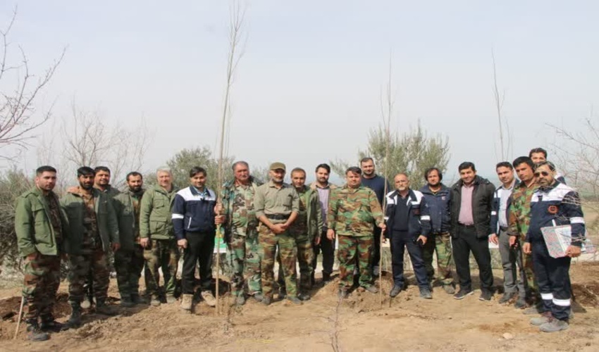 برگزاری پویش نهالکاری «جان ایران » درمحوطه کارخانه سیمان پیوند گلستان  