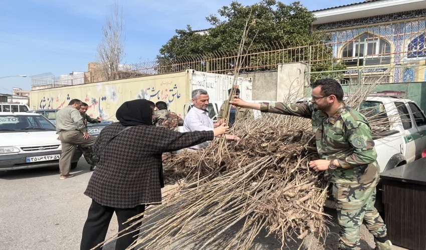 2500 نهال رایگان در بین نمازگزاران جمعه مصلی گرگان توزیع شد