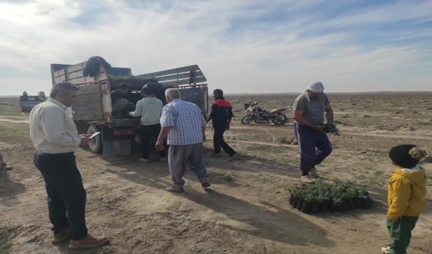 انتقال و غرس نهال گلدانی در مرتع ترشکلی گنبدکاووس