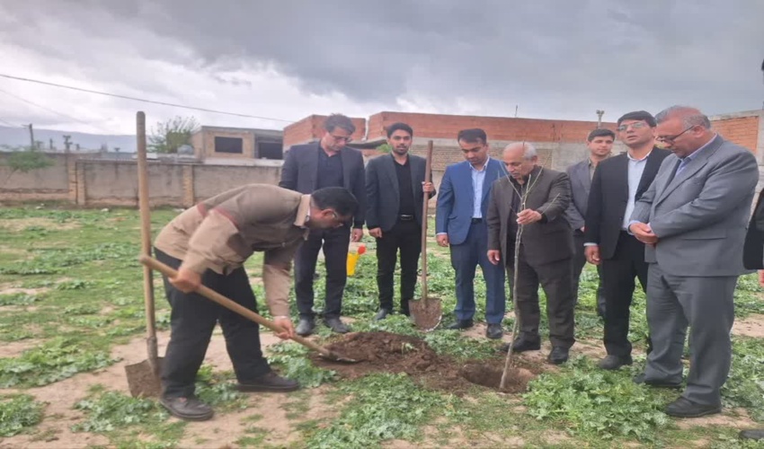 پویش کاشت نهال امید در ورزشگاه شهید آسیابی روستای کوسه کلاله برگزار شد